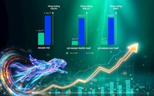 VVS  báo lãi khủng trước thềm đại hội cổ đông 2026