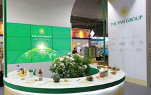 PAN Group công bố BCTC quý I/2026 với lợi nhuận gấp 40 lần, hoàn thành 87,5% kế hoạch