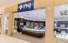 PNJ đặt mục tiêu lợi nhuận vượt 3.400 tỷ đồng, bầu bổ sung thành viên HĐQT