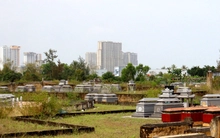 Đà Nẵng tính toán di dời gần 400.000 ngôi mộ để tái thiết đô thị, phát triển hạ tầng ven biển
