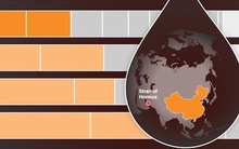 Infographic: Trung Quốc vượt qua 'cú sốc' eo biển Hormuz thế nào?