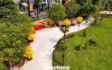 Số phận 9 'khu đất vàng' TPHCM sau khi làm công viên tạm