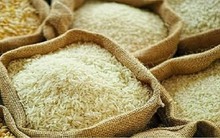 Giá gạo toàn cầu dự báo tăng mạnh