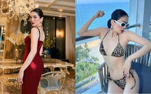 "Nữ hoàng phòng trà" U50 được trai đẹp kém 12 tuổi ngưỡng mộ, sở hữu biệt thự trải từ Việt Nam sang Mỹ