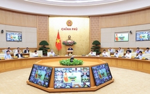 Thủ tướng chủ trì phiên họp thường kỳ và Hội nghị trực tuyến Chính phủ với địa phương