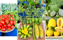 Sự thật về người phụ nữ Đồng Nai nhiều năm "không bước chân ra chợ", bí mật nằm ở tầng 3