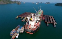 Đối tác từ Mỹ muốn đầu tư cảng Con Ong - Hòn Nét