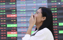 Dự báo VN-Index có thể hồi lên 1.750 điểm, CTCK chỉ tên nhóm cổ phiếu đã tạo đáy