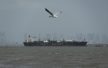 Được xét không thù địch, 2 tàu chở khí đốt treo cờ 1 nước châu Á ‘ung dung’ vượt eo biển Hormuz, nâng tổng số lên 8 tàu an toàn về nước