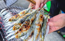 Loại cá nhiều omega-3 hơn cá hồi, được Mỹ đánh giá tốt bậc nhất thế giới: Ngư dân Việt coi là “lộc biển”