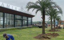 “Gánh nặng” trái phiếu, chủ đầu tư Amira Chơn Thành báo lỗ năm thứ 3 liên tiếp