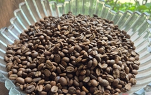 Giá cà phê hôm nay 8-4: Cả hai sàn đỏ lửa, Robusta xuống đáy 8 tháng