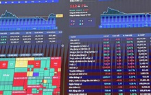 Nâng hạng chỉ là khởi đầu: Chứng khoán Việt Nam bước vào 'cuộc chơi dài hạn'