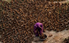 Cảnh tượng chưa từng thấy ở Ấn Độ: Khắp đường phố "xuyên không" về thời đồ đá, người dân phải dùng nguyên liệu thô sơ nhất để nấu ăn