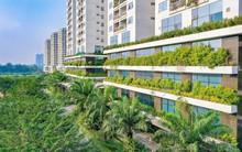 Capital House và hành trình hơn 20 năm “ươm mầm” sống xanh cho đô thị Việt