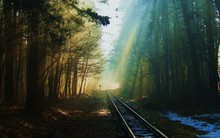 Nới room cho khối ngoại: Không phải là phép màu!