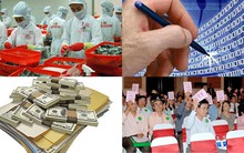 Hàng loạt doanh nghiệp lại muốn hủy niêm yết