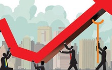 SSI: Năm 2014 là năm "nói ít làm nhiều"