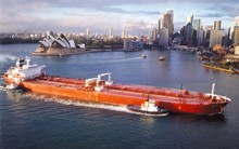 PCT, PJT: Kết quả kinh doanh năm 2013