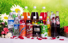 SCD, HJS: LNST 6 tháng đầu năm 2014 giảm mạnh