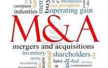 Giá trị sổ sách chưa đầy phân nửa, GLS được sáp nhập vào APS tỷ lệ 1:1