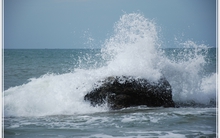 [Chứng khoán 11/11] Khối ngoại đứng im trước cơn sóng đầu cơ