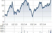 VHG: Dự kiến đến cuối năm 2014 sẽ nâng tỷ lệ sở hữu tại SRC lên mức 20 - 25% 