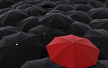 [Chứng khoán 21/11] Không phải TT 36 làm thị trường đảo chiều