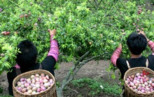 Du lịch sẽ trở thành ngành kinh tế mũi nhọn của Việt Nam