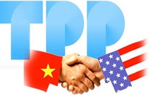 "Thuế tất cả các mặt hàng sẽ về 0% nhưng cần có lộ trình”