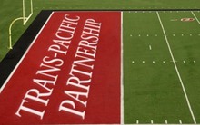 Vì sao AmCham nỗ lực hỗ trợ Việt Nam thực hiện TPP? 