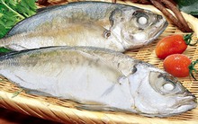 TS4: Đặt kế hoạch lợi nhuận 33 tỷ đồng, thị trường Mỹ vẫn hấp dẫn