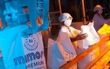 Thành Thành Công hợp tác với ED & Fman đầu tư Nhà máy cồn thực phẩm 22 triệu USD