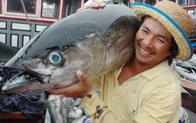 XK thủy sản năm 2014 vượt kế hoạch đến 1 tỷ USD – Kẻ ăn không hết, người lần không ra