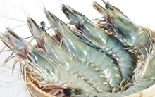 Tương lai nào cho thủy sản Việt Nam năm 2015? 