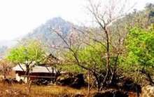 Phê duyệt quy hoạch tổng thể phát triển Khu du lịch quốc gia Mộc Châu