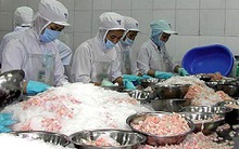 Đi tìm lý do khiến xuất khẩu thủy sản sụt giảm mạnh