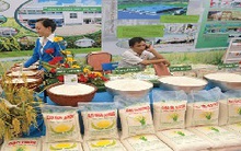 Bi kịch gạo không thương hiệu