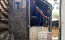 Thủy, hải sản nhập lậu từ Trung Quốc: Mối nguy cho sức khỏe