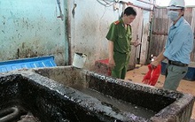 Lạnh người với công nghệ “làm sạch” tai heo