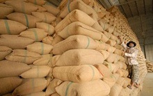 Áp lực kho chứa đè nặng lên vai các doanh nghiệp