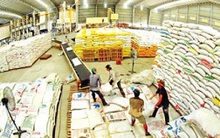 Lập đoàn kiểm tra thu mua, tạm trữ lúa gạo