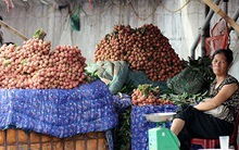 Công nghệ giữ tươi nông thủy sản đến 10 năm