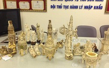 Bắt giữ 21 kg sản phẩm làm từ ngà voi châu Phi