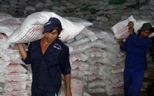 Giá lúa gạo các loại tại khu vực ĐBSCL tăng nhẹ