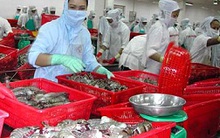 Quy định mới của FDA về thực phẩm nhập khẩu