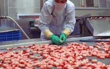 Xuất khẩu tôm Việt Nam sang EU có dấu hiệu khởi sắc