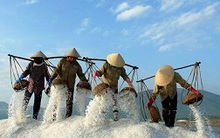 Đã phân giao nhập khẩu 51.000 tấn muối cho doanh nghiệp