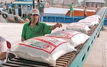 Xuất khẩu gạo: Hướng đến con số 7 triệu tấn
