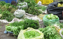 Rau củ neo giá cao, thực phẩm giảm